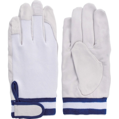 FUJI GLOVE 富士手套 5950-手套3-234得種子包3雙組